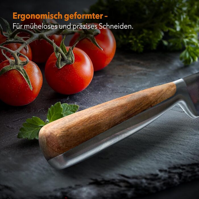 Baumfeld 6-Piece Knife Block Set - Premium Stainless Steel Kitchen Knives with Acacia Wood Magnetic Block - Professional Chef Knife Set