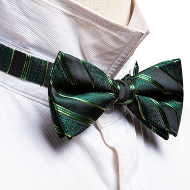 Комплект краватки та хустинки Barry.Wang Paisley, чоловічий, для весілля та урочистих подій (Зелено-чорний)