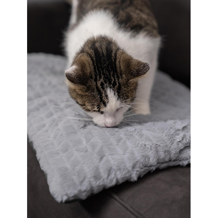 TrendPet Лежанка для собак і котів, двостороння, з підкладкою, сіра (50x35 см)