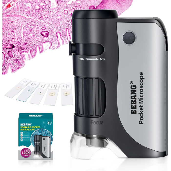 BEBANG Кишеньковий мікроскоп 60x-120x з LED-підсвічуванням, ручний мікроскоп для дітей, студентів та дорослих, для мікробіологічних спостережень, з залізом