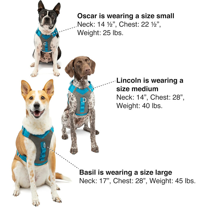 Шлейка для собак Kurgo Journey Air, зручна та безпечна для прогулянок та бігу, з ручкою для контролю, відбивачі, посилена, середній розмір (Orange/Sunset Chevron)