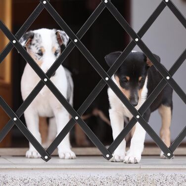 Захисне ворота для собак Relaxdays, висувні до 96 см, 48,5-60 см висота, чорний колір