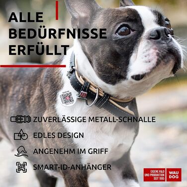 Нашийник для собак WAUDOG: шкіряний нашийник для великих, середніх та маленьких собак, кошенят. Ширина 15-20 мм, довжина 27-36/30-39 см. З цифровою міткою.