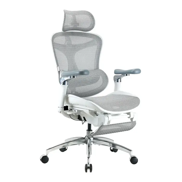 Ергономічне офісне крісло SIHOO Doro C300 Pro white з підставкою для ніг