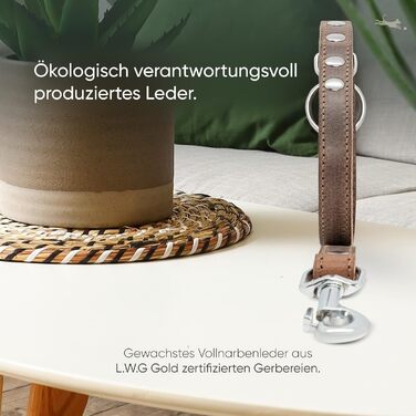 2m Dog Leash made from certified leather - Adjustable training lead - Handmade in EU - Dog Leash for large, medium & small dogs - Leather lead (Dark Chocolate, 25mm wide)