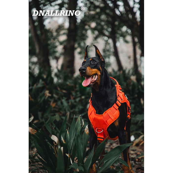 Тактичне обіднє нашийник для собак, нашийник-підйомник для середніх та великих собак, дихаюча сітка, регульований нашийник для службових собак з металевою застібкою 39g для тренувань та прогулянок (Помаранчевий, L(Окружність шиї: 46-63см, Окружність груде