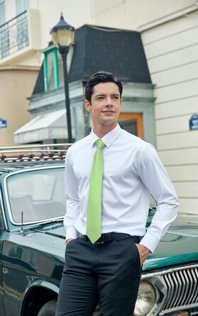 Комплект краватка, хустинка та запонки Hisdern для весілля, однотонний, зелений (Salbei Grün-3)