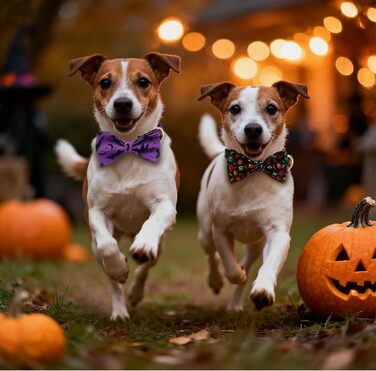 Нашийник для собак з металевою застібкою, двосторонній нашийник з іменем та номером телефону, регульовані розміри для маленьких собак, M та L (на Хелловін)