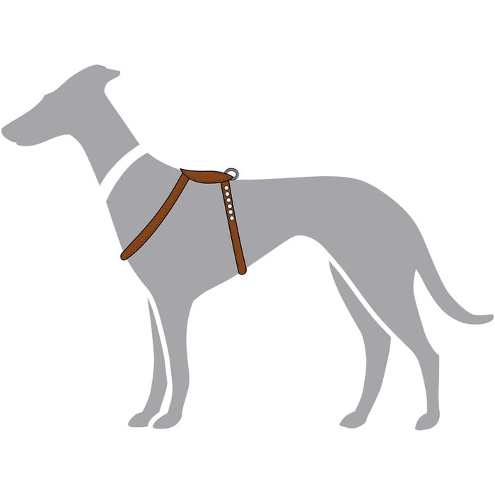 Нашийник для собак HUNTER Round & Soft Canadian UP, колір: Cognac, м'яка, еластична шкіра, прошитий по колу, щадний до хутра, екологічний, Made in Germany, розмір: S/1 S/1 cognac