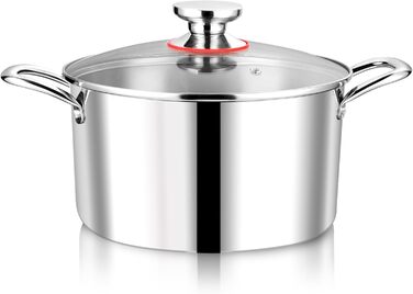 Каструля Joyfair 3.3L з кришкою з термостійкого скла, нержавіюча сталь, для всіх плит, індукція, 22 см