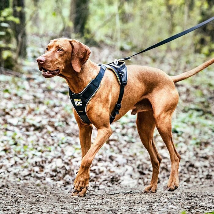 Шлейка для собак JULIUS K-9 IDC Longwalk, чорно-сіра, розмір L