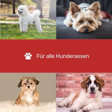 Ножиці для грумінгу собак EHASO Premium, 10 см, з круглою кінцівкою | Професійні ножиці для собак, точні та зручні | Підходять для всіх порід