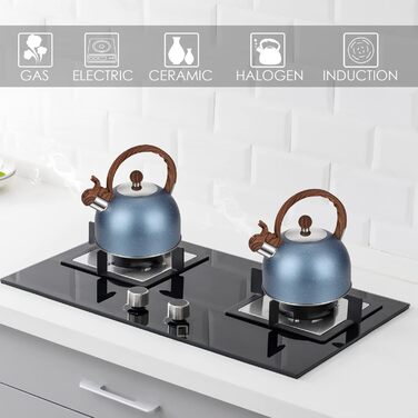 Чайник з свистком 2.5L з нержавіючої сталі для всіх плит, включаючи індукцію, з автоматичним кип'ятінням та дерев'яною ручкою (блакитний)