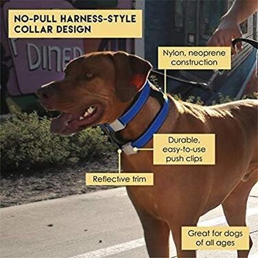 Pack Leader Collar™ - Dog Whisperer Cesar Millan Training Collar (Medium, Gray)