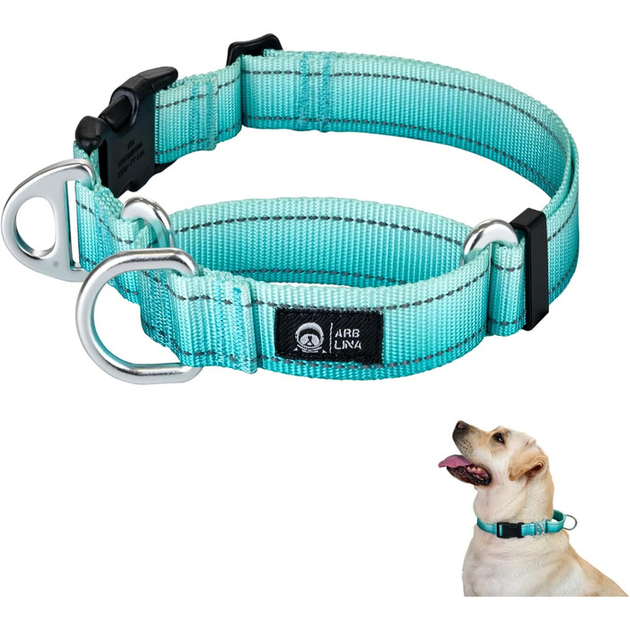 Відбиваюче повідець для собак Martin Gay, з зупинкою, для великих, середніх та малих собак, повідок-стопер для Whippets, Greyhounds, Saluki (Турквезевий, M)