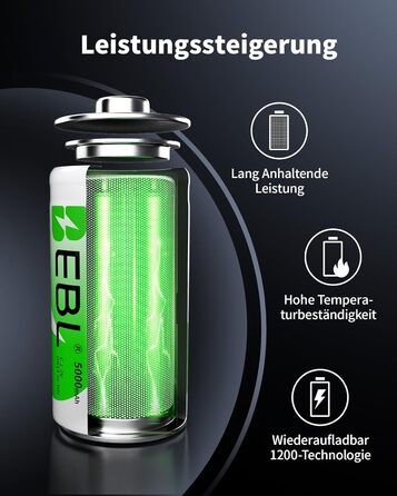 Зарядний пристрій EBL для акумуляторів AA AAA C D NI-MH, Type-C, LCD дисплей, швидка зарядка (зарядний пристрій + 4 x C)