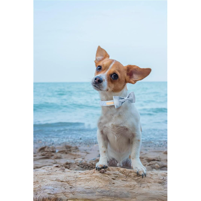 Елегантний ошийник для собак Unique Style Paws з синього шовку з бантиком, регульований, для середніх собак, подарунок