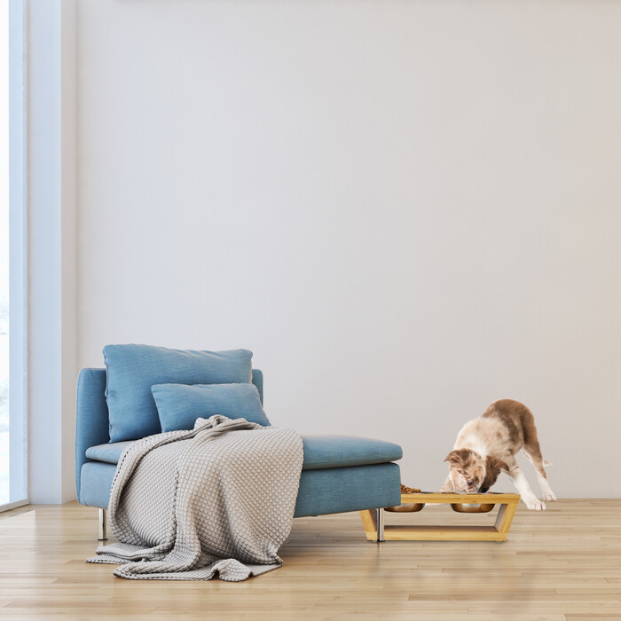 Relaxdays Pet Feeder