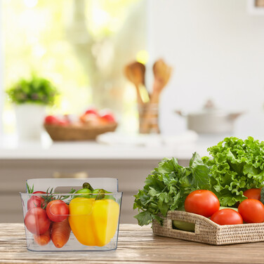 Relaxdays Refrigerator Organizer with Handles