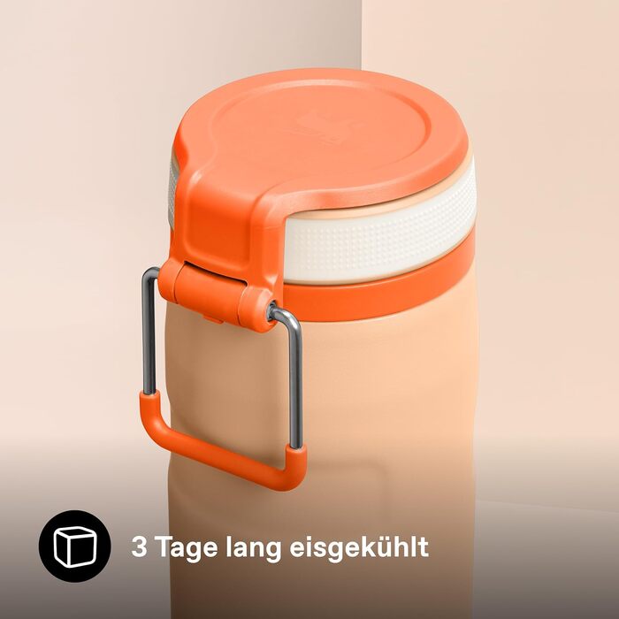 Термос-пляшка STANLEY 1913 IceFlow Bottle Twist Flip 0.47L, герметична пляшка для води з трубочкою, Orange Sherbet