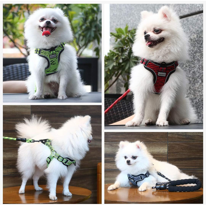 Нашийник для собак середніх та маленьких порід, цуценят, анти-тяга, безпечний, світловідбиваючий, м'який, регульований (S, Червоний)