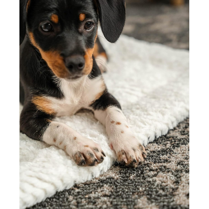 Підстилка для собак та котів Lionto Wendedecke, 60x45 см, сіра, з підкладкою, тепла, миюча, для захисту від холоду, будь-якого розміру