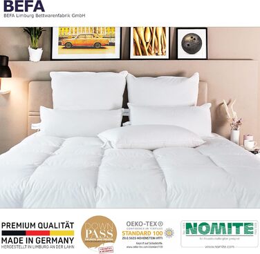 Подушка BEFA NATUR 40x80 см, 3-камерна, 90% пух, 10% перо, для алергіків, сертифікат Öko-Tex 100, Downpass, Німеччина (2 шт.)