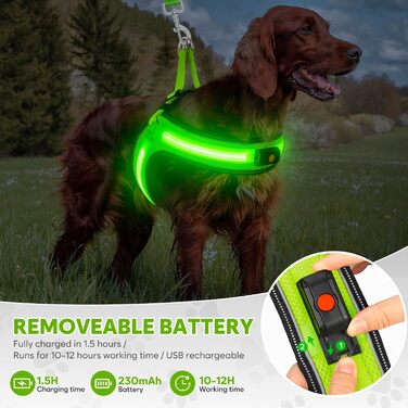 Світловідбиваючий поводок для собак середнього розміру BiPawTi, перезаряджуваний світловідбиваючий жилет для собак з 3 режимами освітлення - світлодіодна шлейка для собак, що світиться в темряві, для кемпінгу з собакою - зелене світло