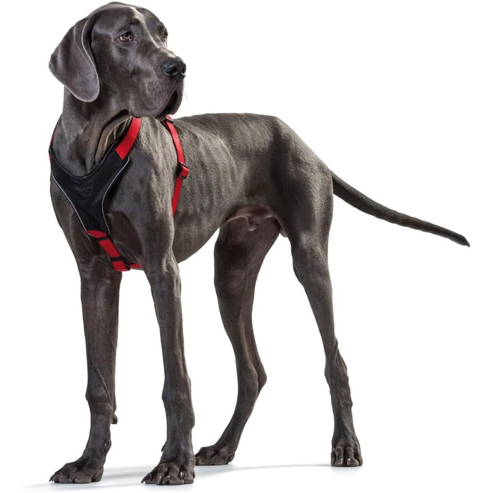 Нашийник для собак HUNTER Neopren, оливковий/чорний, розмір M/1 M/2, міцний нейлон, м'який неопрен, світловідбиваючий 3M Scotchlite, зручний, легкий у догляді