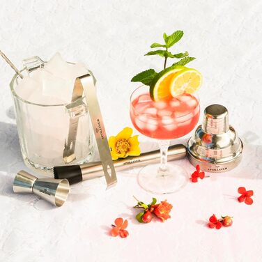 Cocktail Shaker, Professional Cocktail Shaker Set, Stainless Steel, 16 Pieces, Wooden Carrier, Easy to Carry, for Storing Aperitifs, Cocktail Set (16)