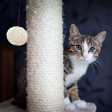 Relaxdays Cat Scratching Post