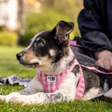 Шлейка для собак Curli Clasp Air-Mesh M (Рожевий-Каро) з повідком