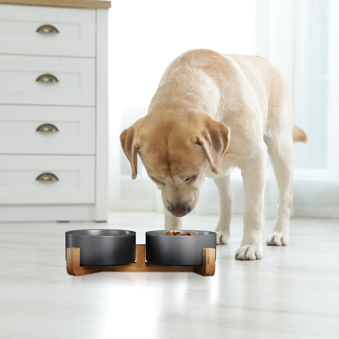 Relaxdays Ceramic Dog Bowl with Bamboo Stand