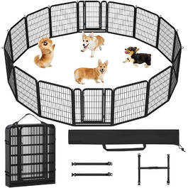 псевдоім'я:: 16тлг