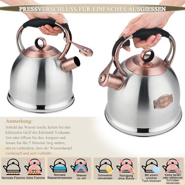 Чайник-свисток 3л з нержавіючої сталі, індукційний, з термостійкою ручкою (срібний)