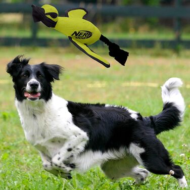 Інтерактивна іграшка для собак Nerf Dog, велика качка з нейлону, зелена