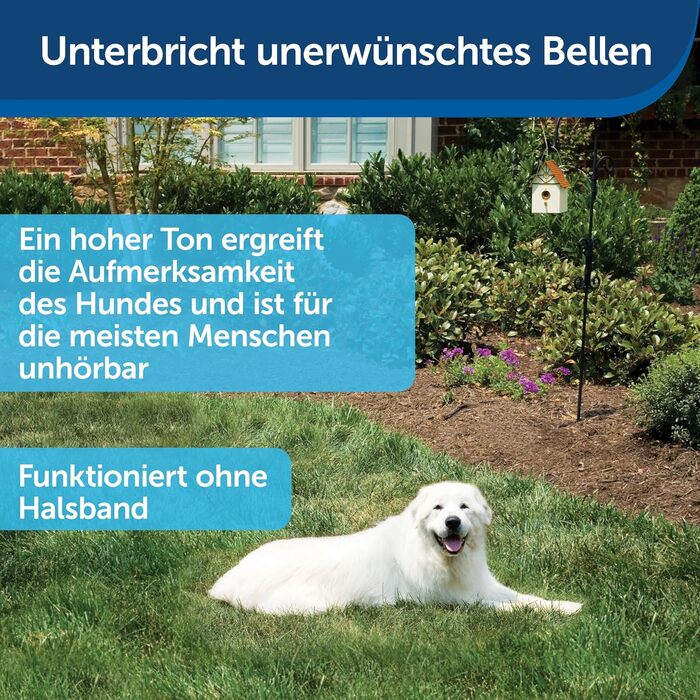 Шлейка PetSafe Easy Walk Deluxe для собак середнього та великого розміру, без обмеження руху, з м'якою підкладкою, з поводом 1,8 м, блакитно-чорна