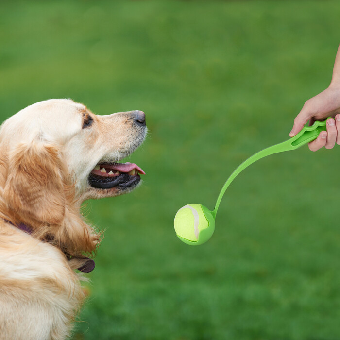 Relaxdays Dog Ball Launcher 2-Piece Set