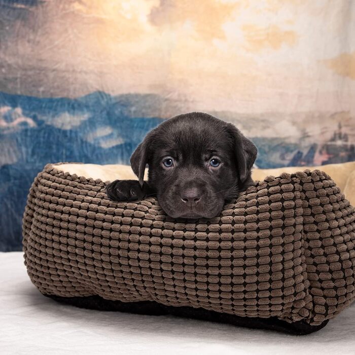 JOEJOY Dog Bed, Medium-Sized Dogs, Washable Dog Basket, Fluffy, Non-Slip Plush Dog Bed, 63x53x20cm, Dog Beds for Small and Medium Dogs and Cats (L 76 x W 61 x H 23 cm, Brown)