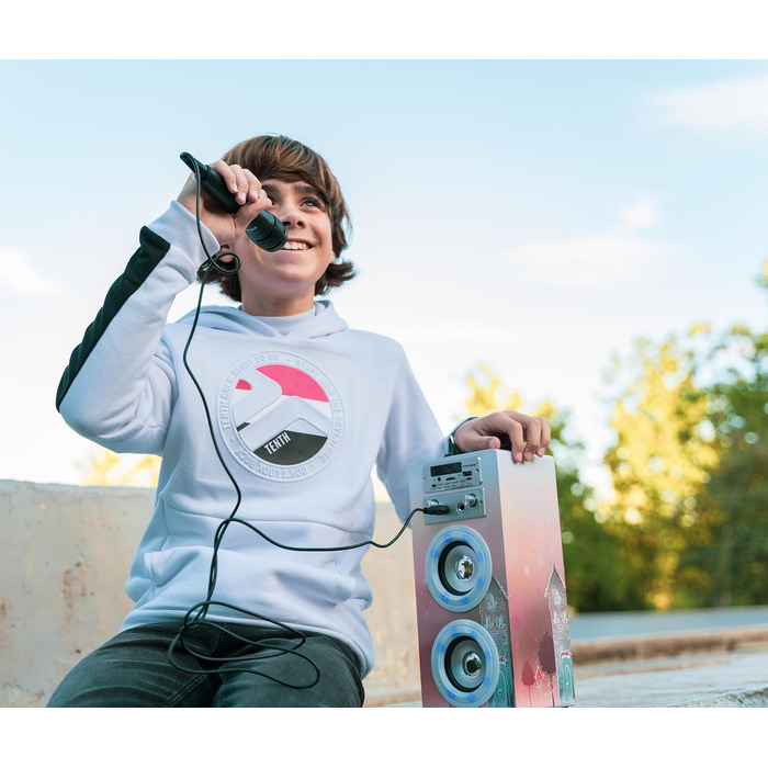 Караоке DYNASONIC з 2 мікрофонами, портативна караоке-машина, Bluetooth-динамік, USB та SD-кардридер, світлові ефекти, подарунок для дітей 5-13 років (Model 19)