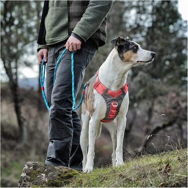 Шлейка для собак Kurgo Journey Air, посилена, з ручкою для контролю, для прогулянок та бігу, відображає світло, оранжева, X-Large