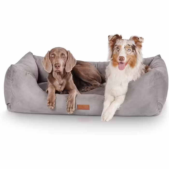 Knuffelwuff Dog Bed Dreamline in Velour XXL 120 x 85cm - Removable cover - Easy to clean - For large, medium and small dogs (Grey, L 155 x W 105 x H 30 cm)