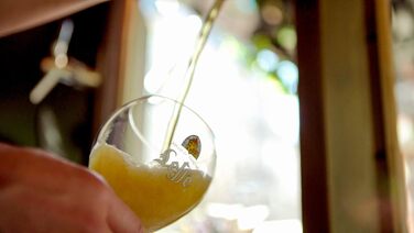 Набір келихів для пива Franziskaner Leffe 0.33л (6 шт) + підставки - Оригінальні келихи Leffe для пива, для бару та колекції, 330мл, для мийки посуду