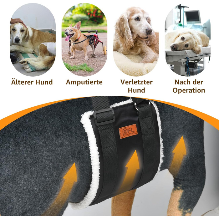 Регульована переноска для собак, підтримуюча перетяжка для реабілітації, поранених, травмованих або літніх собак - шлейка для собак як допоміжний засіб для ходьби для малих та великих собак (Білий, M)