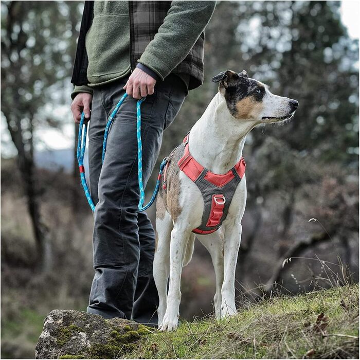 Шлейка для собак Kurgo Journey Air, посилена, з ручкою для контролю, для прогулянок та бігу, відображає світло, оранжева, X-Large