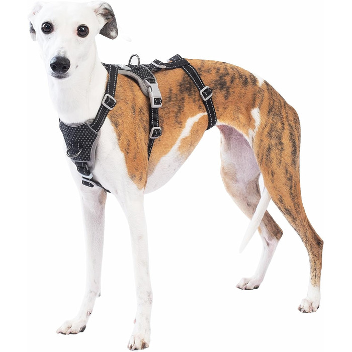 Шлейка для собак Huntboo, анти-витік, для панічних собак, світловідбиваюча, регульована, легка, чорна, розмір S, 1 шт.