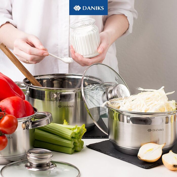 Danik Standard Stainless Steel Cooking Pot with Glass Lid, 20 cm, 4 Liters, Soup Pot/Noodle Pot/Pasta Pot, Silver