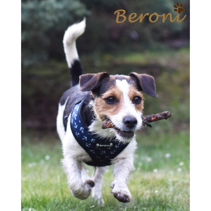 Шлейка для собак Softgeschirr, морська тематика, регульована, розмір L (37-42см, 47-63см)