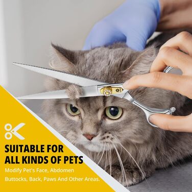 Професійна ножиця для грумінгу собак та котів Dream Reach 8 дюймів, 440C нержавіюча сталь, ергономічна ручка, регульований гвинт