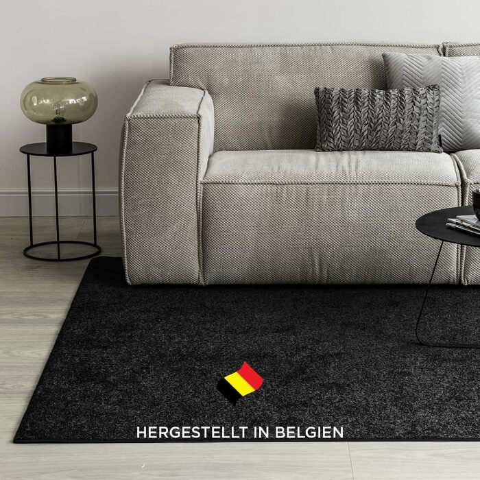 Килим для вітальні та спальні Carpet Studio Maine, 140x200 см, чорний, короткий ворс